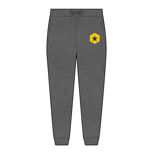 Team Linville Fleece Joggers — Gray Athletic Sweatpants with Star Emblem